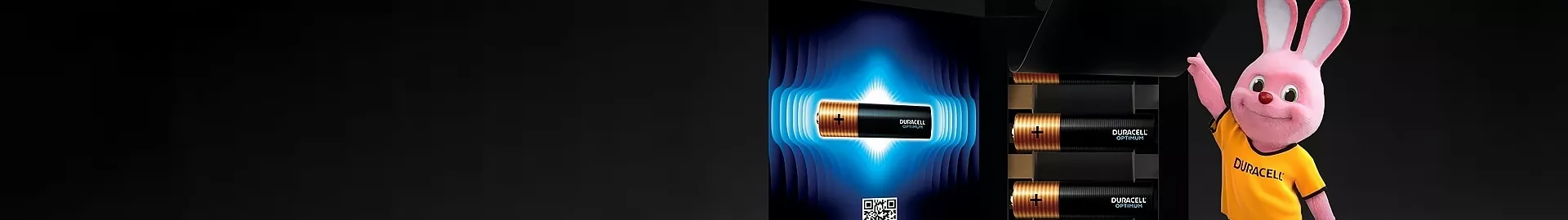 Zdjęcie do Dystrybutor Duracell