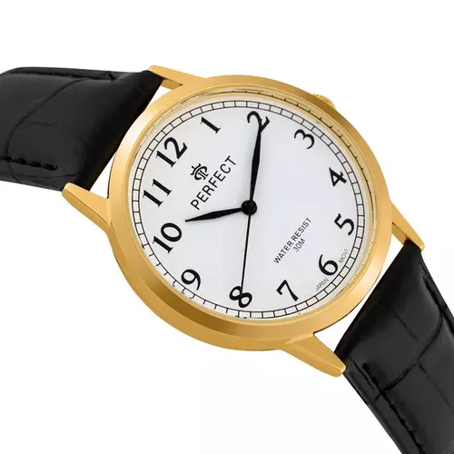 Zegarek Kwarcowy PERFECT C411C-06 Gold 2