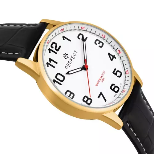 Zegarek Kwarcowy PERFECT C410N-09 GOLD 2
