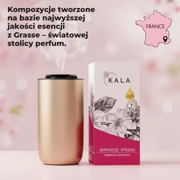 ESENCJA/WKŁAD iFRESH LA MANIA REED 10ML