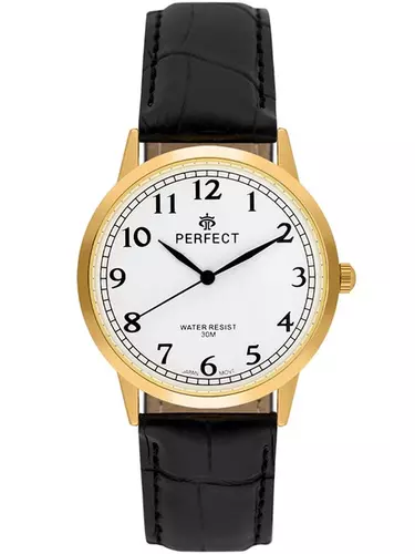 Zegarek Kwarcowy PERFECT C411C-06 Gold 1