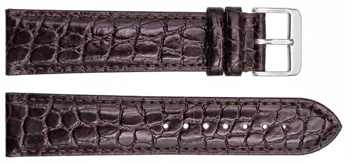Pasek Chermond D005 24mm brązowy 1